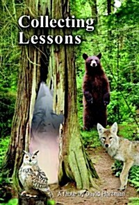 Collecting Lessons: A Fable (Paperback)