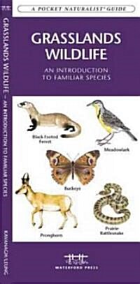 Grasslands Wildlife: An Introduction to Familiar Species Found in Prairie Grasslands (Paperback)
