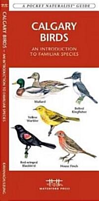 Calgary Birds: A Folding Pocket Guide to Familiar Species (Paperback)