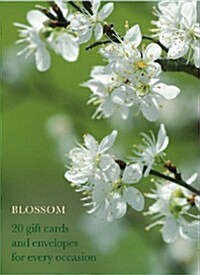 Blossom Large Card Box (Cards)