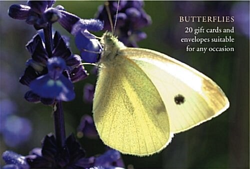 Butterfly Gift Card Pack (Cards)