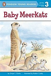 Baby Meerkats (Paperback)