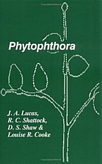 Phytophthora : Symposium of the British Mycological Society, the British Society for Plant Pathology and the Society of Irish Plant Pathologists Held  (Hardcover)