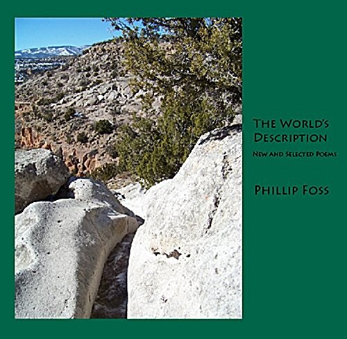 The Worlds Description: New and Selected Poems (Paperback)