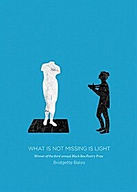 What Is Not Missing Is Light (Paperback)