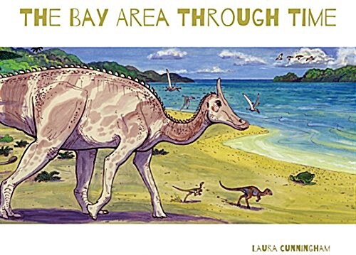 The Bay Area Through Time (Hardcover)