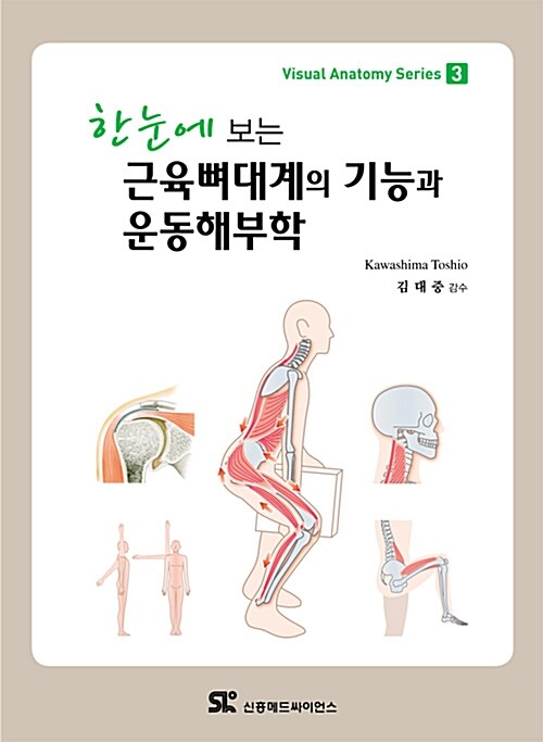 한눈에 보는 근육뼈대계의 기능과 운동해부학