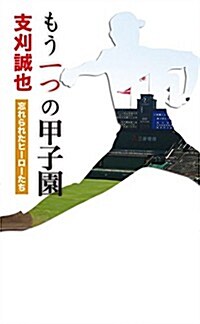 もう一つの甲子園 忘れられたヒ-ロ-たち (初, 新書)