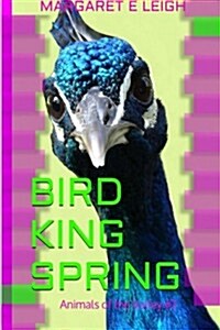 Bird King Spring: Animals of the Valley # 2 (Paperback)