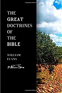The Great Doctrines of the Bible (Paperback)