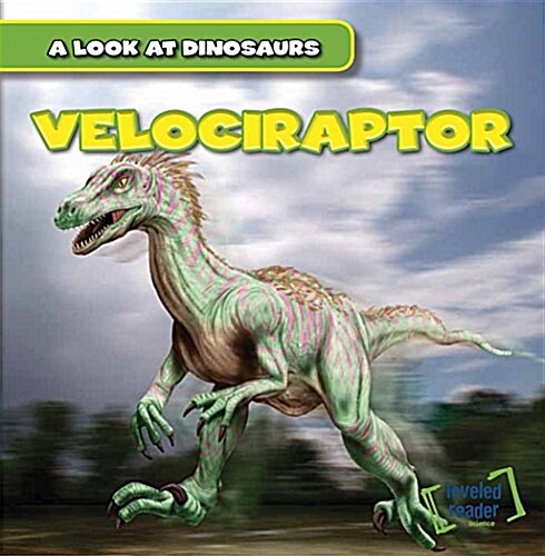 Velociraptor (Paperback)