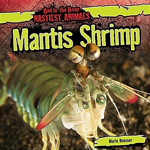Mantis Shrimp (Paperback)