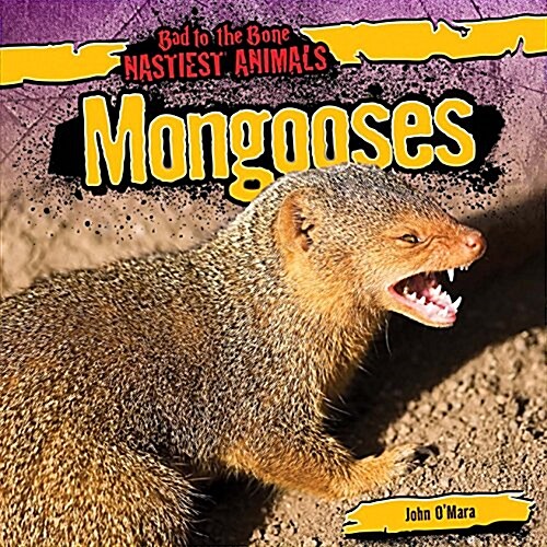 Mongooses (Paperback)