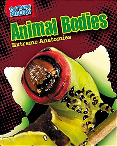 Animal Bodies: Extreme Anatomies (Paperback)