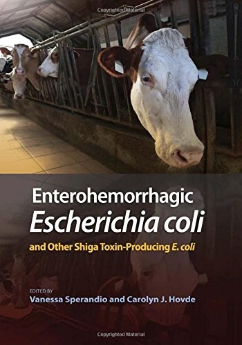 Enterohemorrhagic Escherichia Coli and Other Shiga Toxin-producing E. Coli (Hardcover)