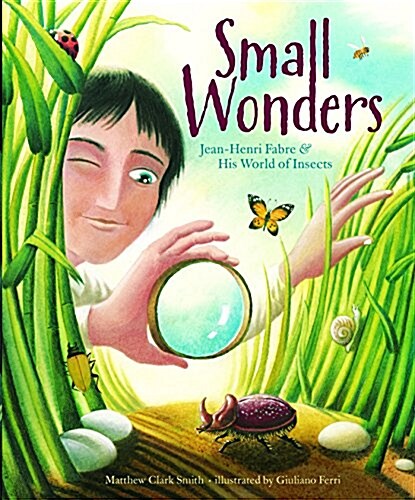 Small Wonders: Jean-Henri Fabre and His World of Insects (Hardcover)