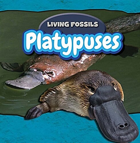 Platypuses (Paperback)