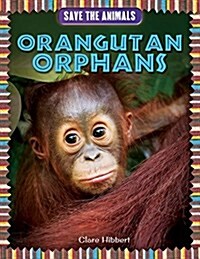 Orangutan Orphans (Paperback)