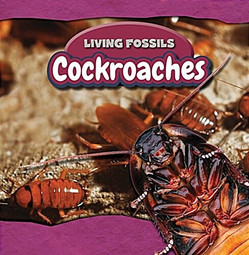 Cockroaches (Library Binding)
