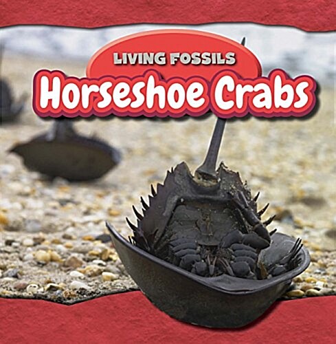 Horseshoe Crabs (Library Binding)