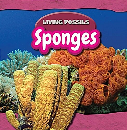 Sponges (Library Binding)