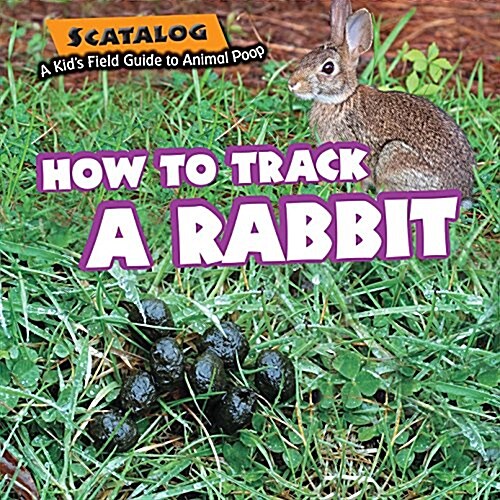 How to Track a Rabbit (Library Binding)