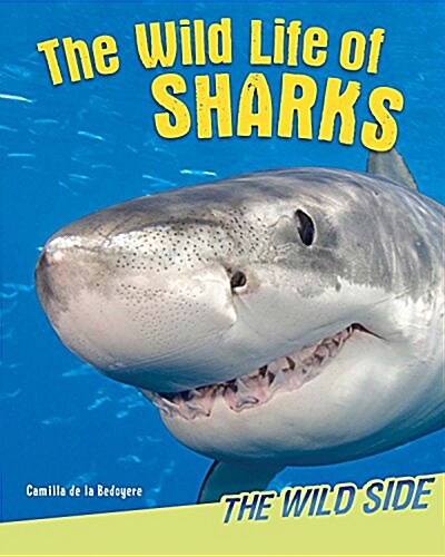 The Wild Life of Sharks (Library Binding)