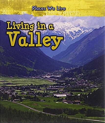 Living in a Valley (Hardcover)