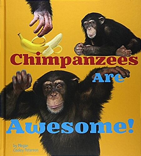 Chimpanzees are Awesome! (Hardcover)