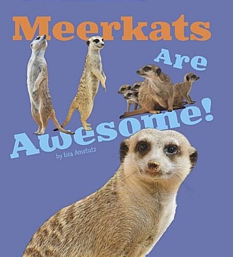 Meerkats are Awesome! (Hardcover)