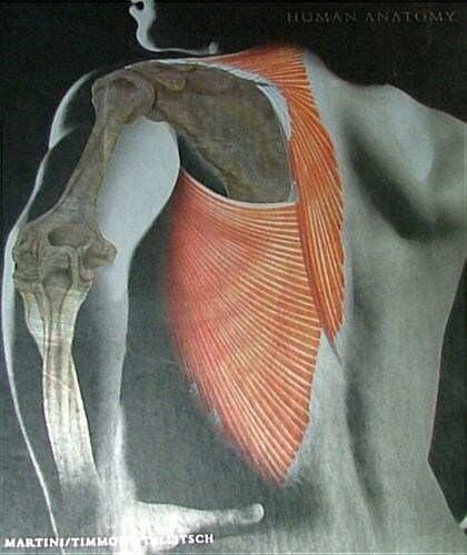 Human Anatomy, 5th Edition (Hardcover, 5th)