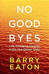 No Goodbyes: Life-Changing Insights from the Other Side (Paperback)