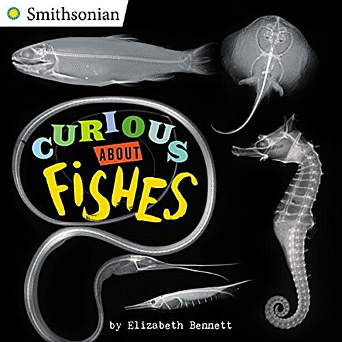 Curious About Fishes (Paperback)
