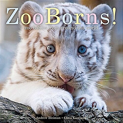 Zooborns!: Zoo Babies from Around the World (Paperback, Reprint)