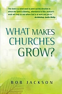 What Makes Churches Grow? : Vision and Practice in Effective Mission (Paperback)