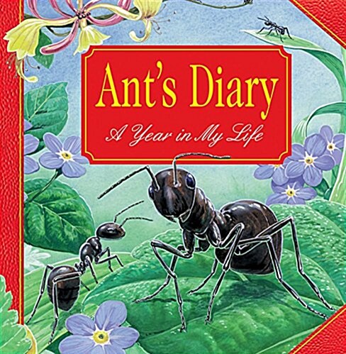 Ants Diary (Hardcover)