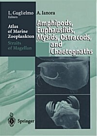 Atlas of Marine Zooplankton Straits of Magellan: Amphipods, Euphausiids, Mysids, Ostracods, and Chaetognaths (Paperback, Softcover Repri)