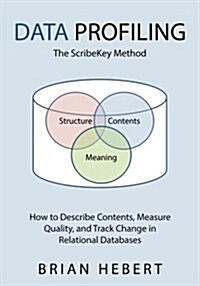 Data Profiling: The Scribekey Method (Paperback)
