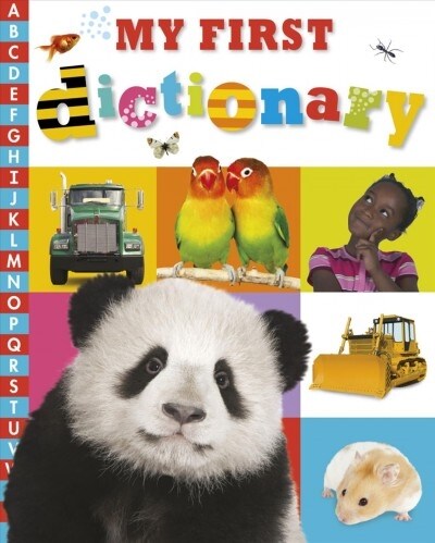 My First Dictionary (Paperback)