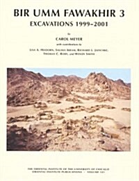 Bir Umm Fawakhir 3: Excavations 1999-2001 (Hardcover)