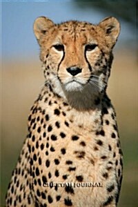 Cheetah Journal: 100 Page Lined Notebook/Diary (Paperback)