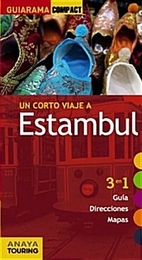 Estambul / Istanbul (Paperback, Map, 8th)