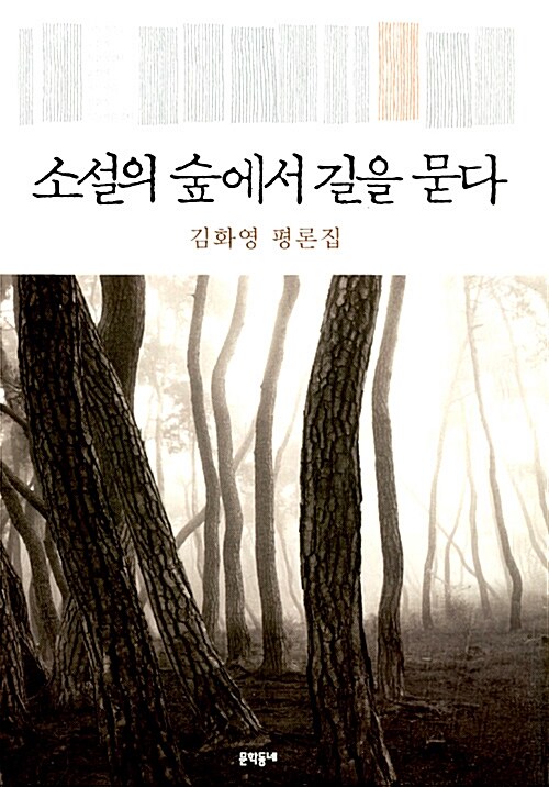 [중고] 소설의 숲에서 길을 묻다