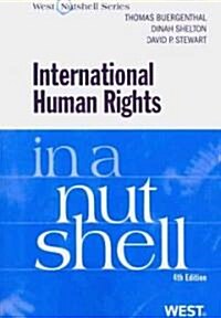 International Human Rights in a Nutshell (Paperback, 4th)