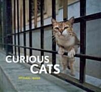 Curious Cats (Hardcover)