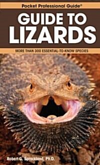 Guide to Lizards (Paperback)