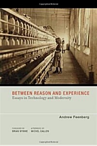 Between Reason and Experience: Essays in Technology and Modernity (Paperback)