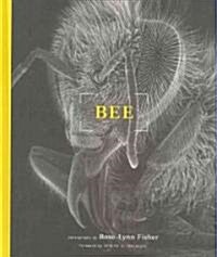 Bee (Hardcover)