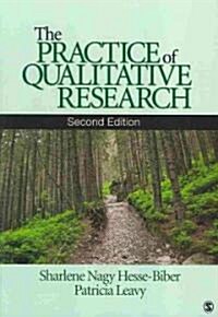The Practice of Qualitative Research (Paperback, 2)