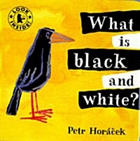 What is Black and Whit? (Hardcover + CD 1장) (Hardcover + CD)